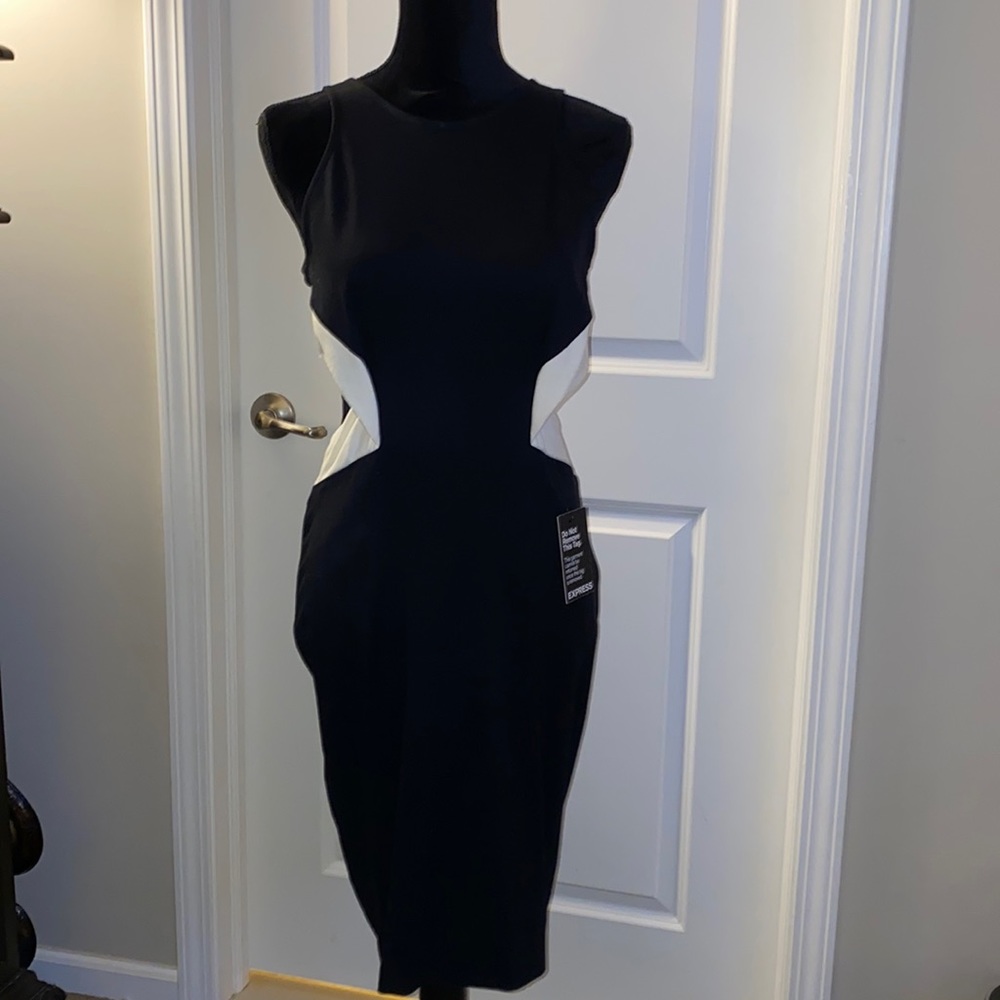 Express Color Block Bodycon Dress - Picture 2 of 4